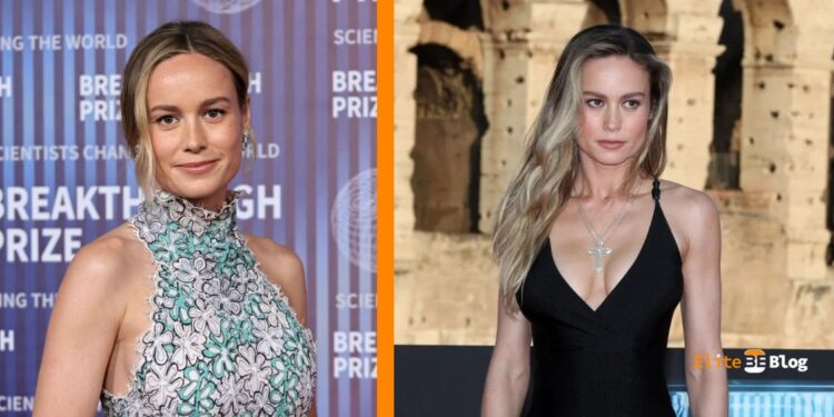 Brie Larson Net Worth