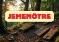 Jememôtre