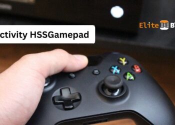 Connectivity HSSGamepad
