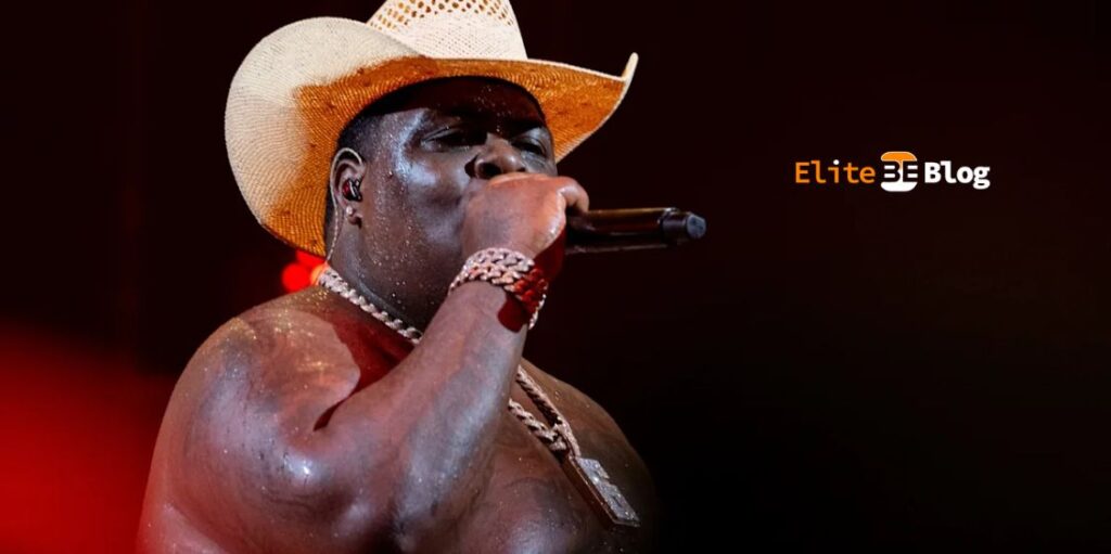 Songs, Collaborations, and Playlists