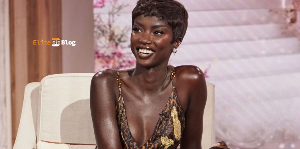 Sources of Anok Yai’s Income